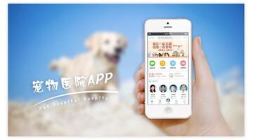 开发宠物医院APP找哪家公司合适