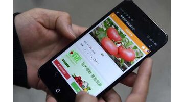 农业电商APP开发哪家公司技术好