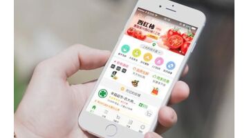 生鲜商城APP开发公司如何选择
