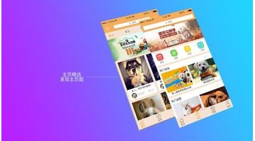 做一款宠物电商APP找哪家公司靠谱