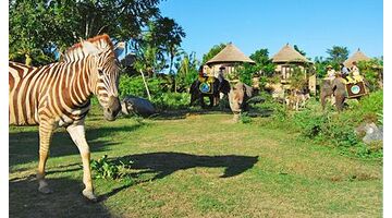 做一款动物园APP需要多少费用