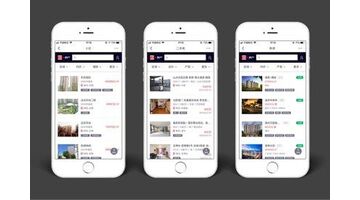 做一款房地产APP软件需要多少费用