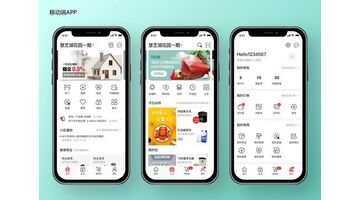 开发一款社区电商APP选择哪家公司好