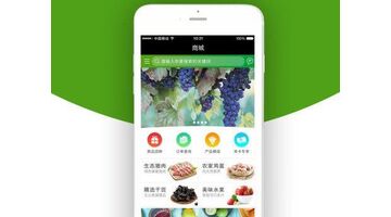 开发一款农产品商城APP选择哪家公司比较好