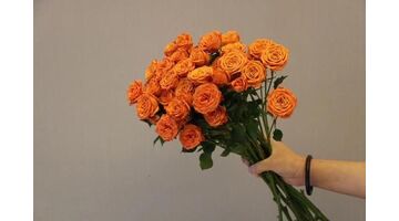 做一款鲜花商城APP大概要多少钱